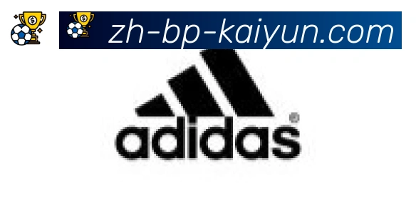 开云APP合作伙伴